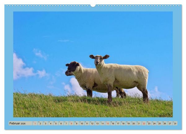Produktbild: B&uuml;sum an der Nordsee (hochwertiger Premium Wandkalender 2026 DIN A2 quer), Kunstdruck in Hochglanz