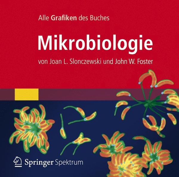 Bild-DVD, Mikrobiologie