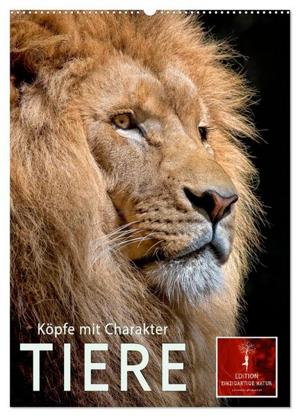 Produktbild: Tiere - K&ouml;pfe mit Charakter (Wandkalender 2026 DIN A2 hoch), CALVENDO Monatskalender