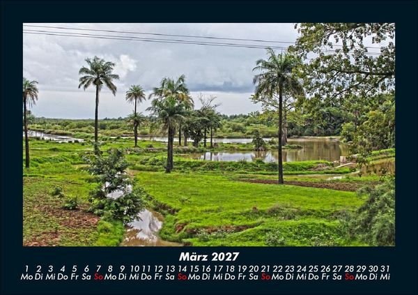 Produktbild: Palmentraum 2027 Fotokalender DIN A5