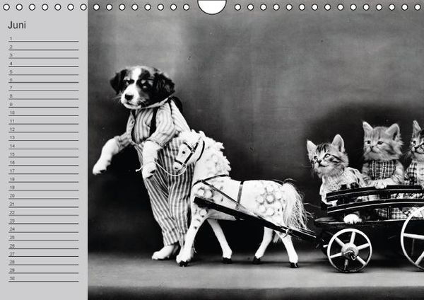 Produktbild: Katzen und Hunde - Nostalgie auf Pfoten (Wandkalender immerw&auml;hrend DIN A4 quer)