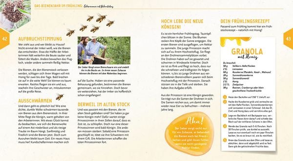 Produktbild: Ein Jahr mit den Bienen