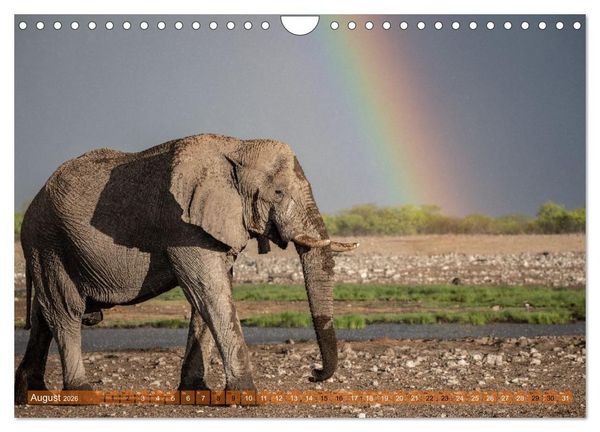 Produktbild: Das s&uuml;dliche Afrika 2026 (Wandkalender 2026 DIN A4 quer), CALVENDO Monatskalender