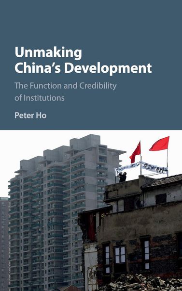 Produktbild: Unmaking China's Development