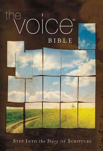 Produktbild: Voice Bible-VC