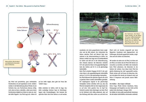 Produktbild: Dual-Aktivierung geritten