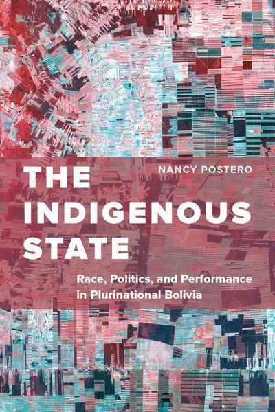 Produktbild: Postero, N: The Indigenous State