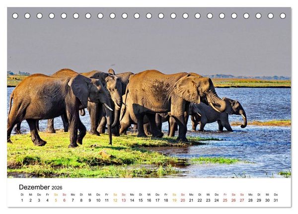 Produktbild: Elefanten Impressionen (Tischkalender 2026 DIN A5 quer), CALVENDO Monatskalender