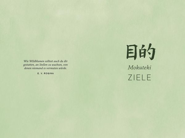 Produktbild: Shibui
