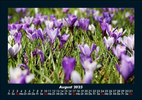 Produktbild: Pflanzen und Bl&uuml;ten 2025 Fotokalender DIN A5