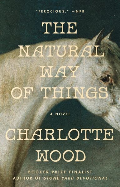 Produktbild: The Natural Way of Things