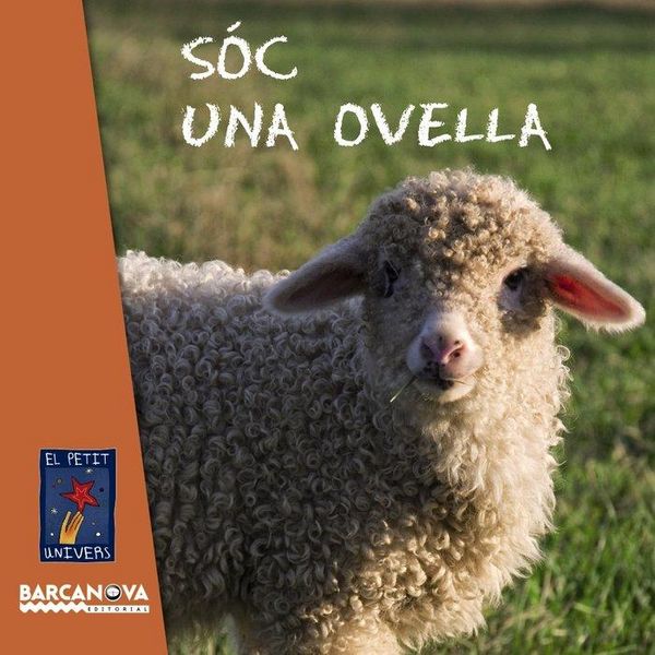 Produktbild: S&oacute;c una ovella