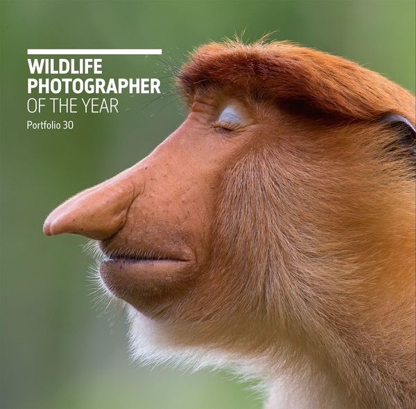 Produktbild: Wildlife Photographer of the Year: Portfolio 30