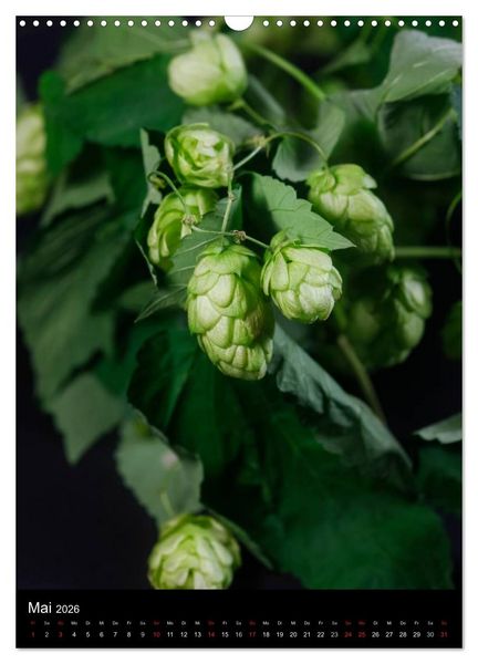 Produktbild: Bier (Wandkalender 2026 DIN A3 hoch), CALVENDO Monatskalender