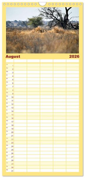 Produktbild: Familienplaner 2026 - Kgalagadi - Fauna und Wildtiere in der Kalahari mit 5 Spalten (Wandkalender, 21 x 45 cm) CALVENDO