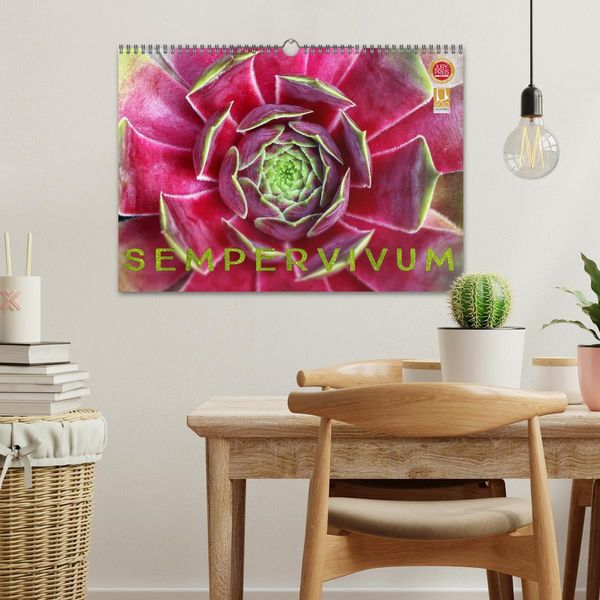 Produktbild: Sempervivum - Hauswurz (Wandkalender 2026 DIN A3 quer), CALVENDO Monatskalender