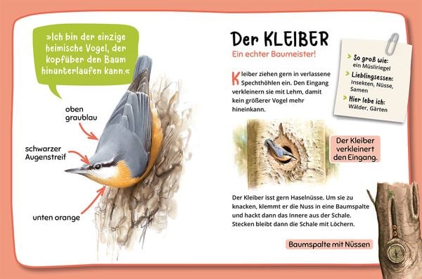 Mein erster Naturführer, Welche Tierspur ist das?