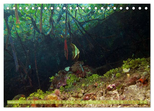 Produktbild: Mangroves - Valuable Habitat (Desk Calendar 2027 DIN A5 landscape), CALVENDO 12 Month DeskCalendar