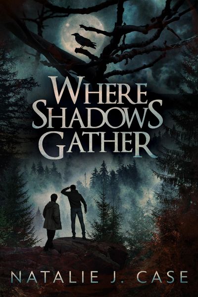 Produktbild: Where Shadows Gather