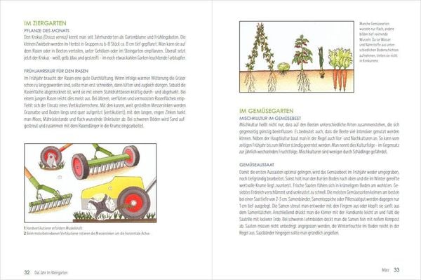 Produktbild: Mein Jahr im Kleingarten. Schrebergarten f&uuml;r Anf&auml;nger