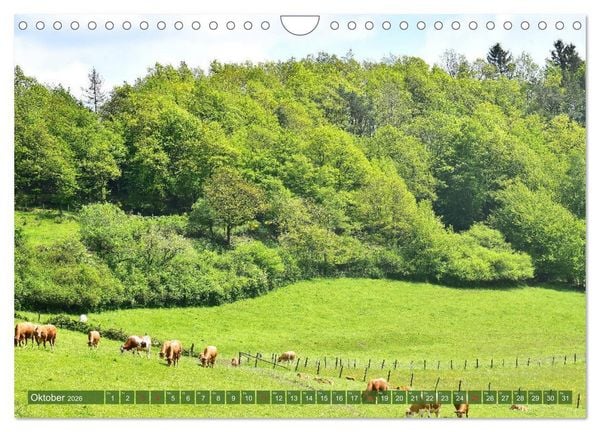 Produktbild: Eifeler Kuhwiesen (Wandkalender 2026 DIN A4 quer), CALVENDO Monatskalender