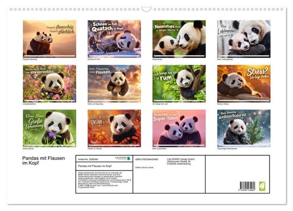 Produktbild: Pandas mit Flausen im Kopf (Wandkalender 2027 DIN A2 quer), CALVENDO Monatskalender