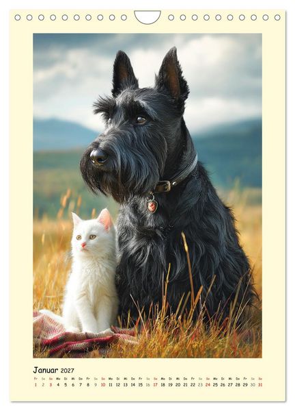 Produktbild: Scottish Terrier. W&uuml;rdevoller und robuster Gentlemen (Wandkalender 2027 DIN A4 hoch), CALVENDO Monatskalender