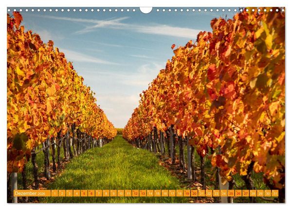 Produktbild: Indian Summer in Baden-W&uuml;rttemberg (Wandkalender 2026 DIN A3 quer), CALVENDO Monatskalender