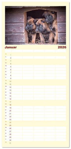 Produktbild: Familienplaner 2026 - Traumhund Malinois mit 5 Spalten (Wandkalender, 21 x 45 cm) CALVENDO