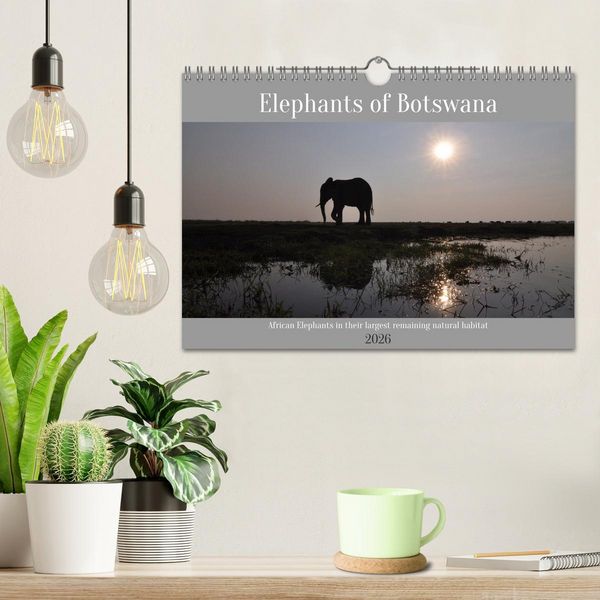 Produktbild: Elephants of Botswana (Wall Calendar 2026 DIN A4 landscape), CALVENDO 12 Month Wall Calendar