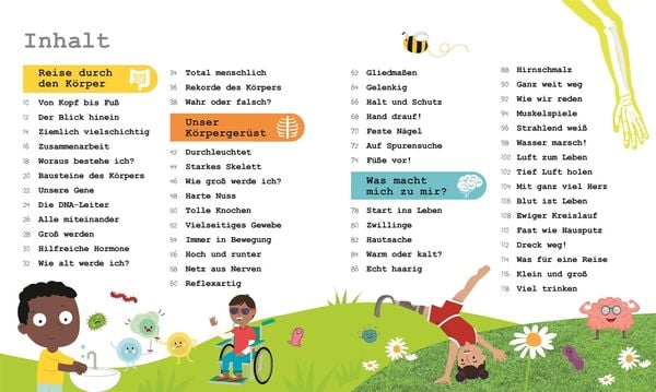 Wissen für Vorschulkids. Was weißt du über den Körper?