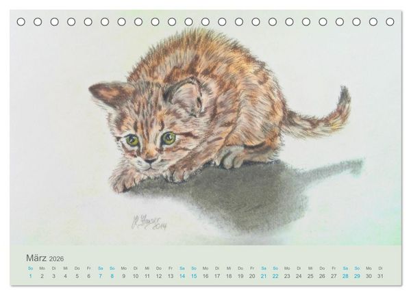 Produktbild: KATZEN PortraiTierART (Tischkalender 2026 DIN A5 quer), CALVENDO Monatskalender