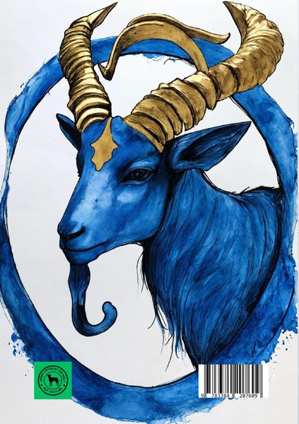 Produktbild: Tagebuch / Notizbuch Sternzeichen Steinbock