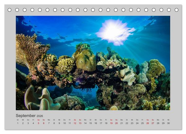 Produktbild: Korallen-Riffe Tauchertr&auml;ume (Tischkalender 2026 DIN A5 quer), CALVENDO Monatskalender