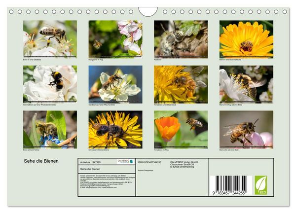 Produktbild: Sehe die Bienen (Wandkalender 2026 DIN A4 quer), CALVENDO Monatskalender