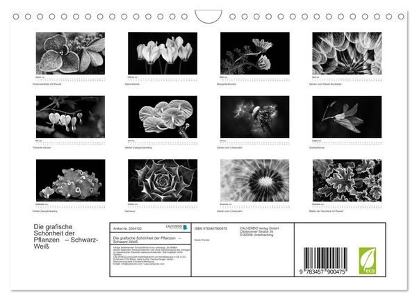 Produktbild: Die grafische Sch&ouml;nheit der Pflanzen &ndash; Schwarz-Wei&szlig; (Wandkalender 2026 DIN A4 quer), CALVENDO Monatskalender