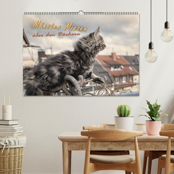 Produktbild: M&uuml;nster Miezen - &uuml;ber den D&auml;chern (Wandkalender 2026 DIN A2 quer), CALVENDO Monatskalender