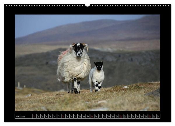 Produktbild: Schottlands wilder Westen (Wandkalender 2026 DIN A2 quer), CALVENDO Monatskalender