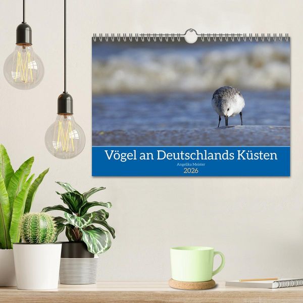 Produktbild: V&ouml;gel an Deutschlands K&uuml;sten (Wandkalender 2026 DIN A4 quer), CALVENDO Monatskalender
