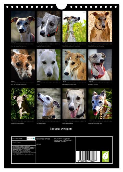 Produktbild: Beautiful Whippets (Wall Calendar 2026 DIN A4 portrait), CALVENDO 12 Month Wall Calendar