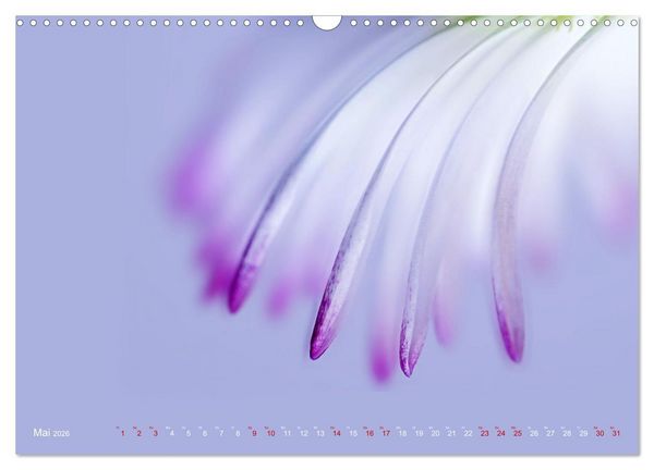 Produktbild: DEEP INSIDE - Bl&uuml;tenmakros (Wandkalender 2026 DIN A3 quer), CALVENDO Monatskalender