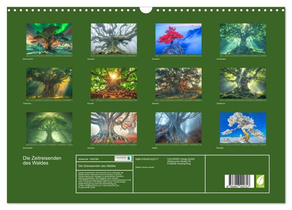 Produktbild: Die Zeitreisenden des Waldes (Wandkalender 2026 DIN A3 quer), CALVENDO Monatskalender