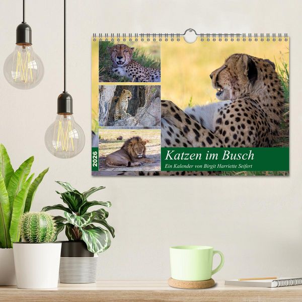 Produktbild: Katzen im Busch (Wandkalender 2026 DIN A4 quer), CALVENDO Monatskalender