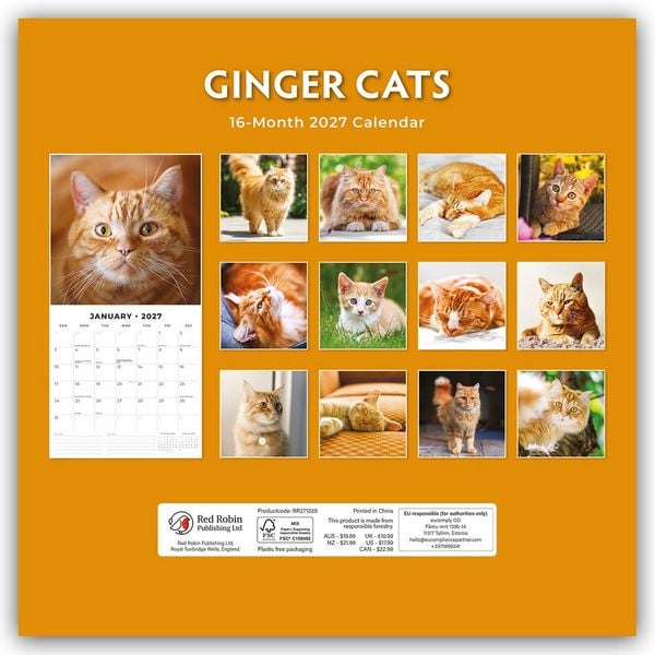 Produktbild: Ginger Cats &ndash; Rote Katzen &ndash; Gingerkatzen 2027 &ndash; 16-Monatskalender