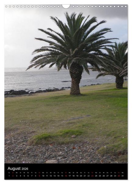 Produktbild: Winter in Montevideo (Wandkalender 2026 DIN A3 hoch), CALVENDO Monatskalender