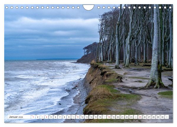Produktbild: Deutsche Bundesl&auml;nder - Mecklenburg-Vorpommern (Wandkalender 2026 DIN A4 quer), CALVENDO Monatskalender