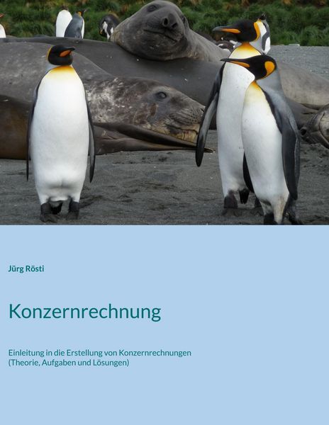 Produktbild: Konzernrechnung