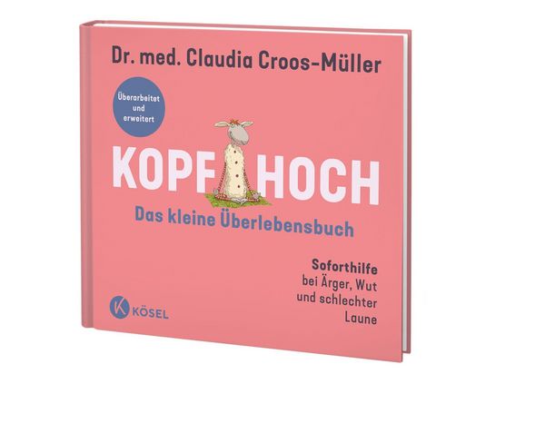 Produktbild: Kopf hoch &ndash; das kleine &Uuml;berlebensbuch