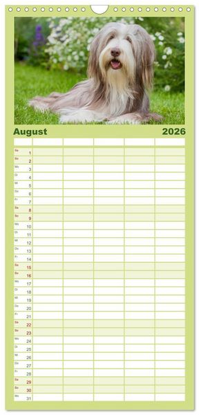 Produktbild: Familienplaner 2026 - Liebenswerter Clown Bearded Collie mit 5 Spalten (Wandkalender, 21 x 45 cm) CALVENDO