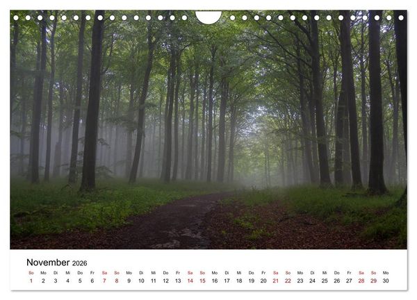 Produktbild: Traumhaftes R&uuml;gen (Wandkalender 2026 DIN A4 quer), CALVENDO Monatskalender